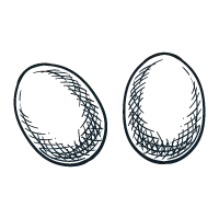 oeufs.webp